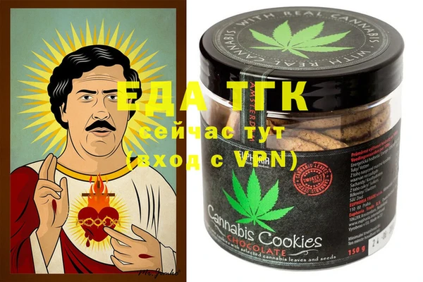 индика Кулебаки