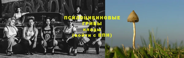 стафф Куйбышев