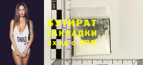 индика Кулебаки