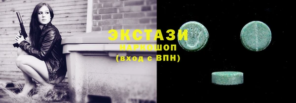 индика Кулебаки