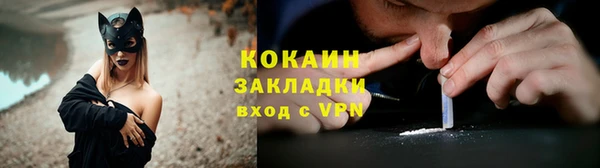 индика Кулебаки