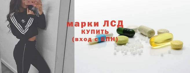 индика Кулебаки