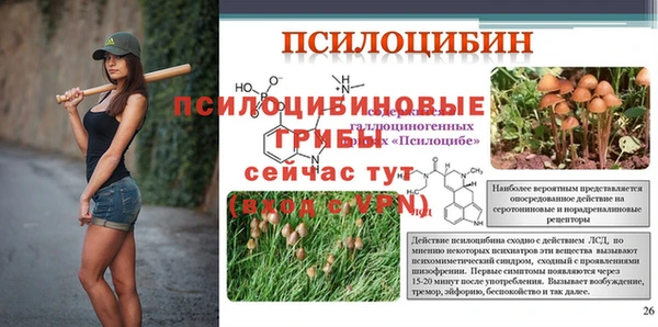индика Кулебаки