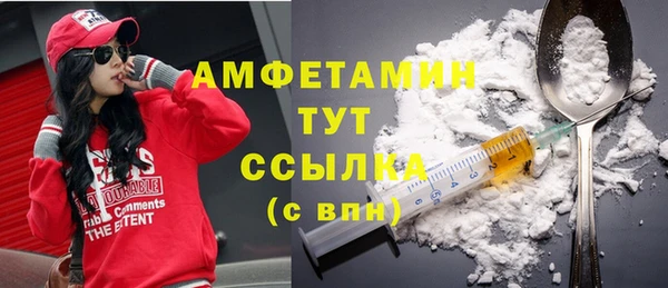 индика Кулебаки