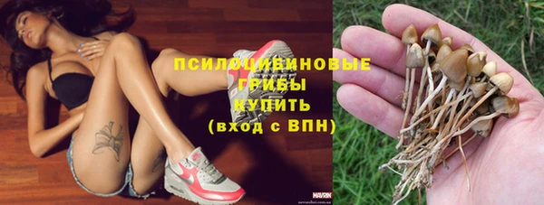 индика Кулебаки