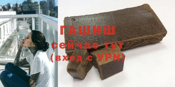 индика Кулебаки